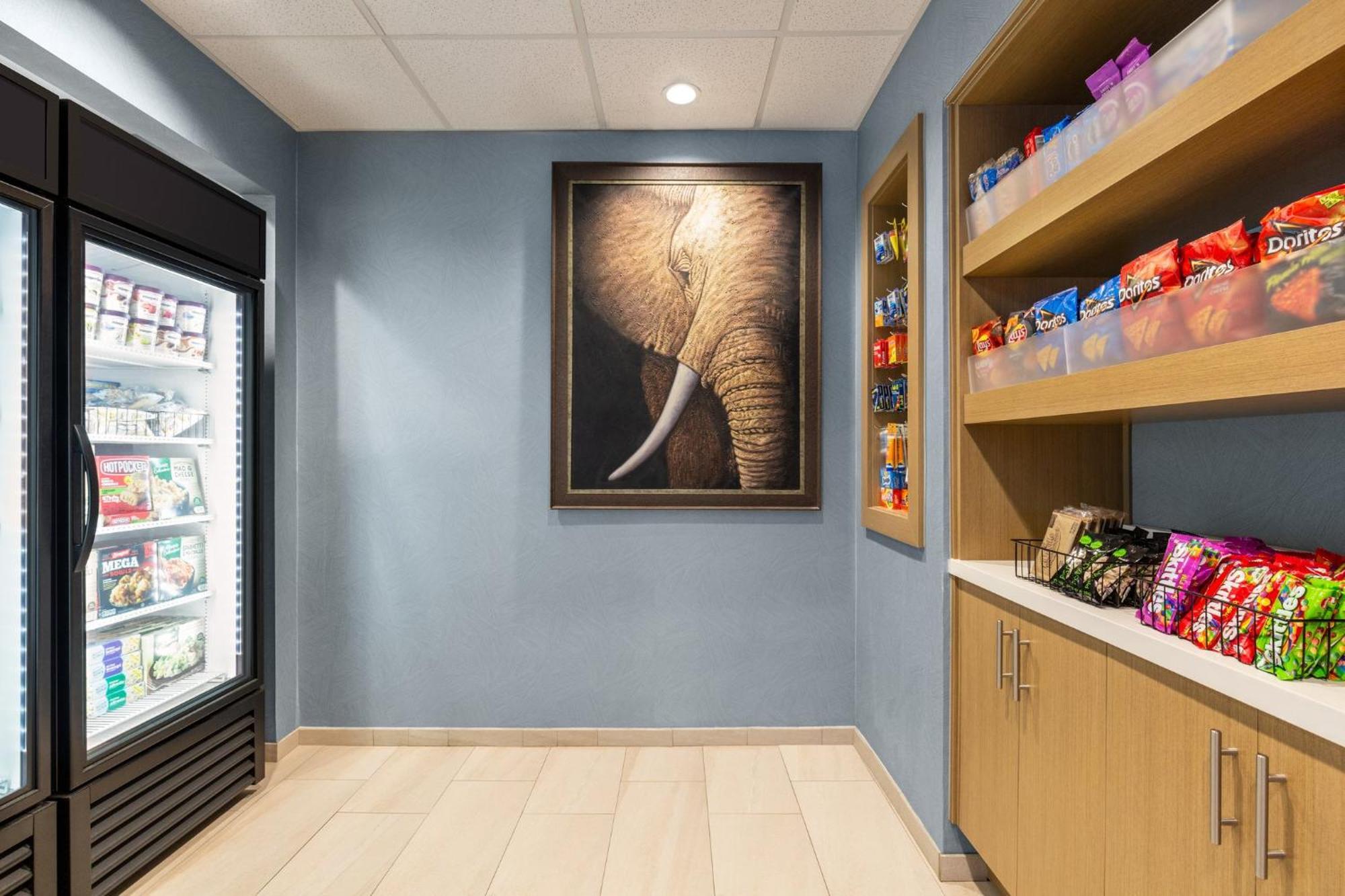 Holiday Inn Express & Suites - Tuscaloosa-University By Ihg 외부 사진